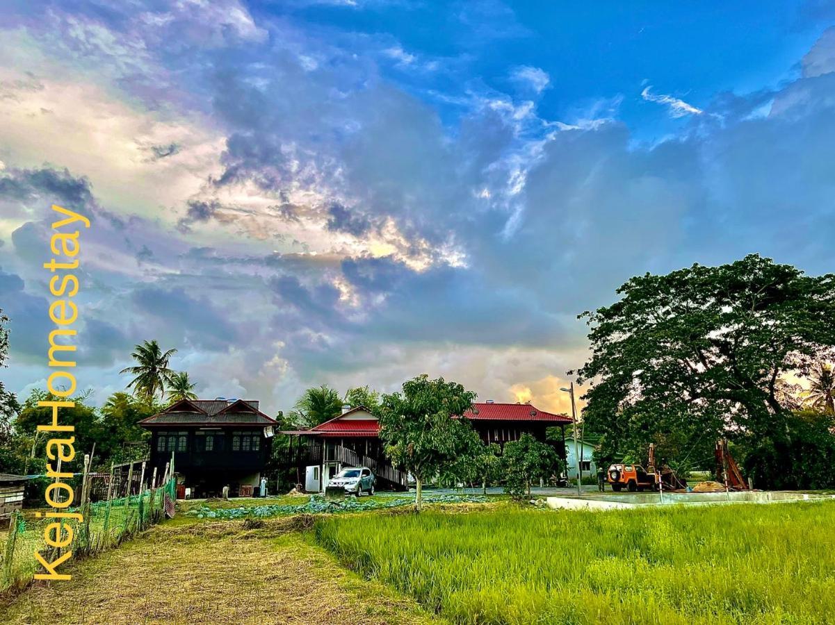 Kejora Homestay كانجار المظهر الخارجي الصورة